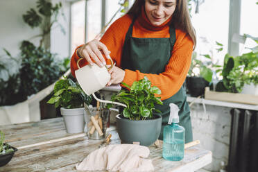 Lächelnder Botaniker beim Gießen einer Kaffeepflanze im Geschäft - OLRF00029