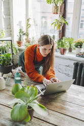 Botanist using laptop at table in plant store - OLRF00032