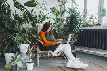 Botanist sitting on chair and using laptop in plant store - OLRF00048