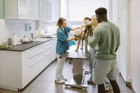 Female vet holding dog on table by couple in veterinary clinic - MASF41428