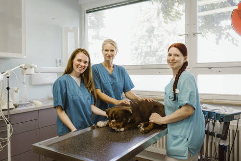 Portrait of smiling nurses and female veterinarian with bulldog on table in medical clinic - MASF41436