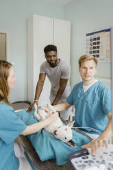 Male owner looking at doctor's performing ultrasound on bull terrier in animal hospital - MASF41448