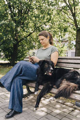 Mature woman with Australian shepherd using smart phone on bench in park - MASF41456