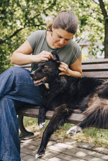 Mature woman examining dog's ear while sitting on bench in park - MASF41457