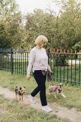 Mature woman walking cute dogs in public park - MASF41460