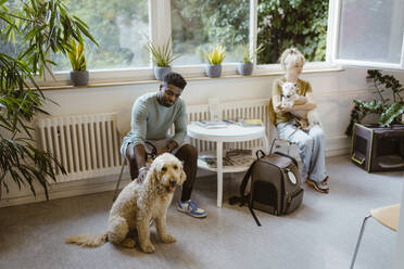 Man and woman with dogs sitting in waiting at veterinary clinic - MASF41464