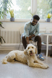 Young man stroking labradoddle sitting in floor at veterinary clinic - MASF41468