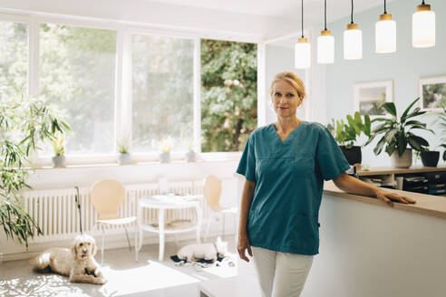 Portrait of confident female veterinarian at reception in veterinary clinic - MASF41487