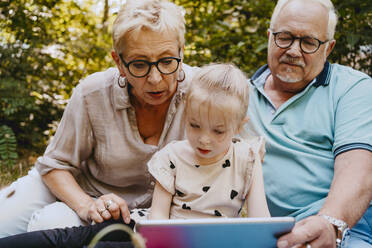 Granddaughter reading book while sitting with grandparents at park - MASF41503