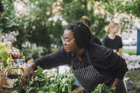 Female vendor examining vegetables at stall in organic market - MASF41739