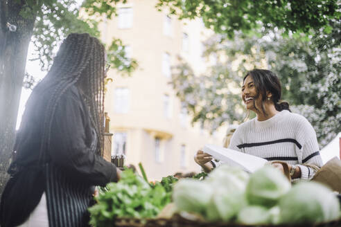 Low angle view of happy customer discussing with vegetable market while doing shopping at market - MASF41746