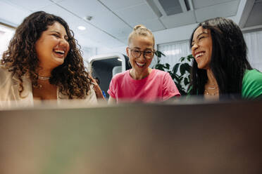 Happy multiracial businesswomen laughing at work place - MASF41955