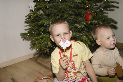 Junge hält Weihnachtsplätzchen und sitzt mit seinem Bruder zu Hause - SEAF02162