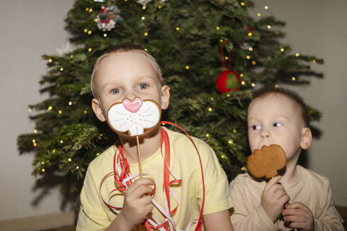 Brothers holding cookies over faces near Christmas tree - SEAF02167