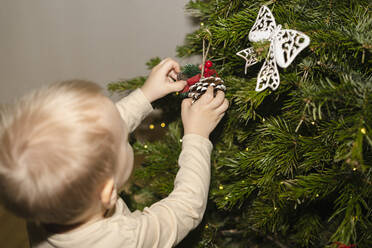 Boy decorating Christmas tree at home - SEAF02171