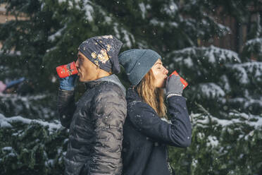 Mann und Frau trinken Punsch in der Nähe eines Tannenbaums im Winter - TILF00052