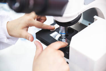 Hands of microbiologist positioning sample in microscope - PCLF00891