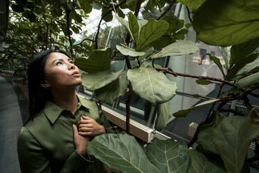 Businesswoman looking at plants standing in corridor - JOSEF22600