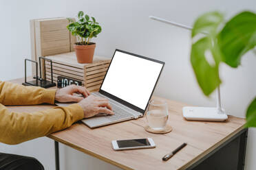 Geschäftsmann mit Laptop am Schreibtisch im Büro - YTF01533