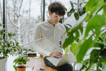 Businessman sitting on desk and using laptop near plants in office - YTF01553