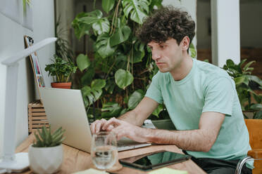 Web designer working on laptop near plants at desk in office - YTF01577