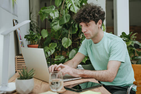 Webdesigner arbeitet am Laptop in der Nähe von Pflanzen am Schreibtisch im Büro - YTF01577