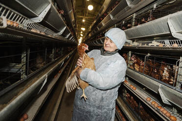 Tierarzt untersucht Henne in der Nähe von Käfigen in Geflügelfarm - EYAF02887