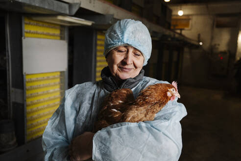 Lächelnder Tierarzt hält ein Huhn in einer Geflügelfarm - EYAF02890