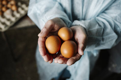 Veterinarian holding eggs in hands - EYAF02894