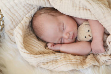 Niedlicher Babyjunge schläft mit ausgestopftem Teddybär-Spielzeug - NDEF01542