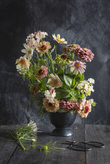 Blühende Zinnien und Kosmosblüten in einer Vase - EVGF04434