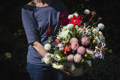 Mittelteil einer Frau, die einen großen Strauß mit verschiedenen Dahlien hält - EVGF04437