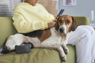 Frau benutzt Smartphone und sitzt mit behindertem Hund auf Sofa in Tierklinik - KPEF00522