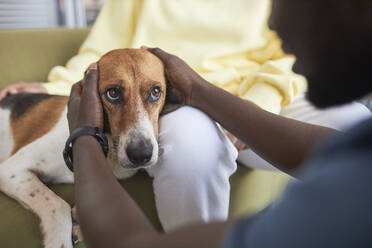Frau mit Tierarzt streichelt Hund auf Sofa in Klinik - KPEF00527