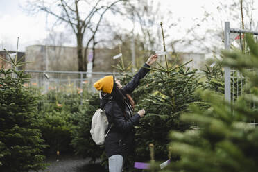 Frau kauft Tannenbaum auf dem Weihnachtsmarkt - JCCMF11078