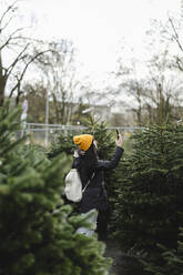 Frau fotografiert Tannenbaum mit Smartphone auf dem Weihnachtsmarkt - JCCMF11079