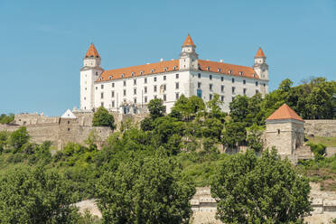 Slowakei, Region Bratislava, Bratislava, Bäume vor der Burg von Bratislava - TAMF04052