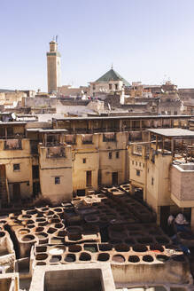 Leather industry of Chouara tannery at Fez, Morocco, Africa - PCLF00901