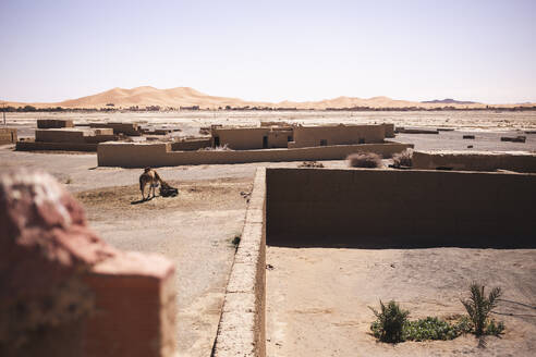 Wüstenlandschaft mit Lehmhäusern in Merzouga, Marokko, Afrika - PCLF00906