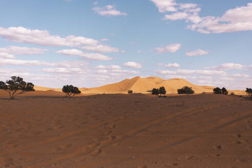 Wüste Sahara bei Merzouga, Marokko, Afrika - PCLF00910