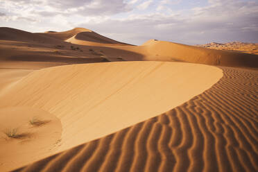 Sand dunes at Sahara desert in Morocco, Africa - PCLF00911