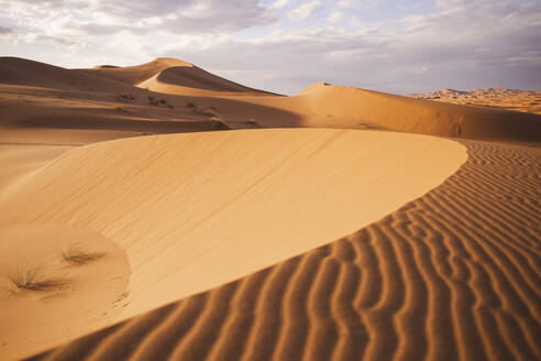 Sanddünen in der Sahara-Wüste in Marokko, Afrika - PCLF00911
