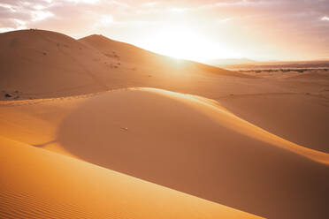 Sand dunes from Sahara desert at sunset in Morocco, Africa - PCLF00914