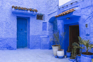 Türen der blauen Häuser in Chefchaouen in Marokko, Afrika - PCLF00927