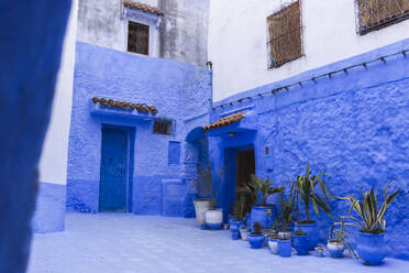 Blaue Häuser in Chefchaouen in Marokko, Afrika - PCLF00928