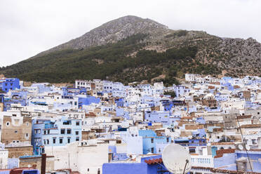 Häuser im Medina-Viertel von Chefchaouen in Marokko, Afrika - PCLF00929