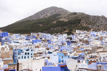 Houses in Medina district of Chefchaouen at Morocco, Africa - PCLF00929
