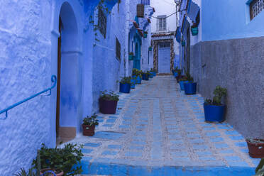 Blau gefärbte Gasse von Chefchaouen, Marokko, Afrika - PCLF00931