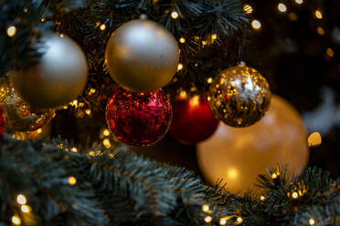 Nahaufnahme von Ornamenten am Weihnachtsbaum - NGF00808