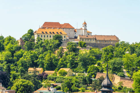 Tschechische Republik, Südmährische Region, Brünn, Grüne Bäume vor dem Schloss Spilberk im Sommer - TAMF04068